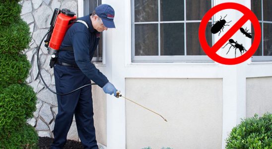 Alacakaya Akrep İlaçlama böcek ilaçlama ve haşere kontrolü — ilaclama-tr.com